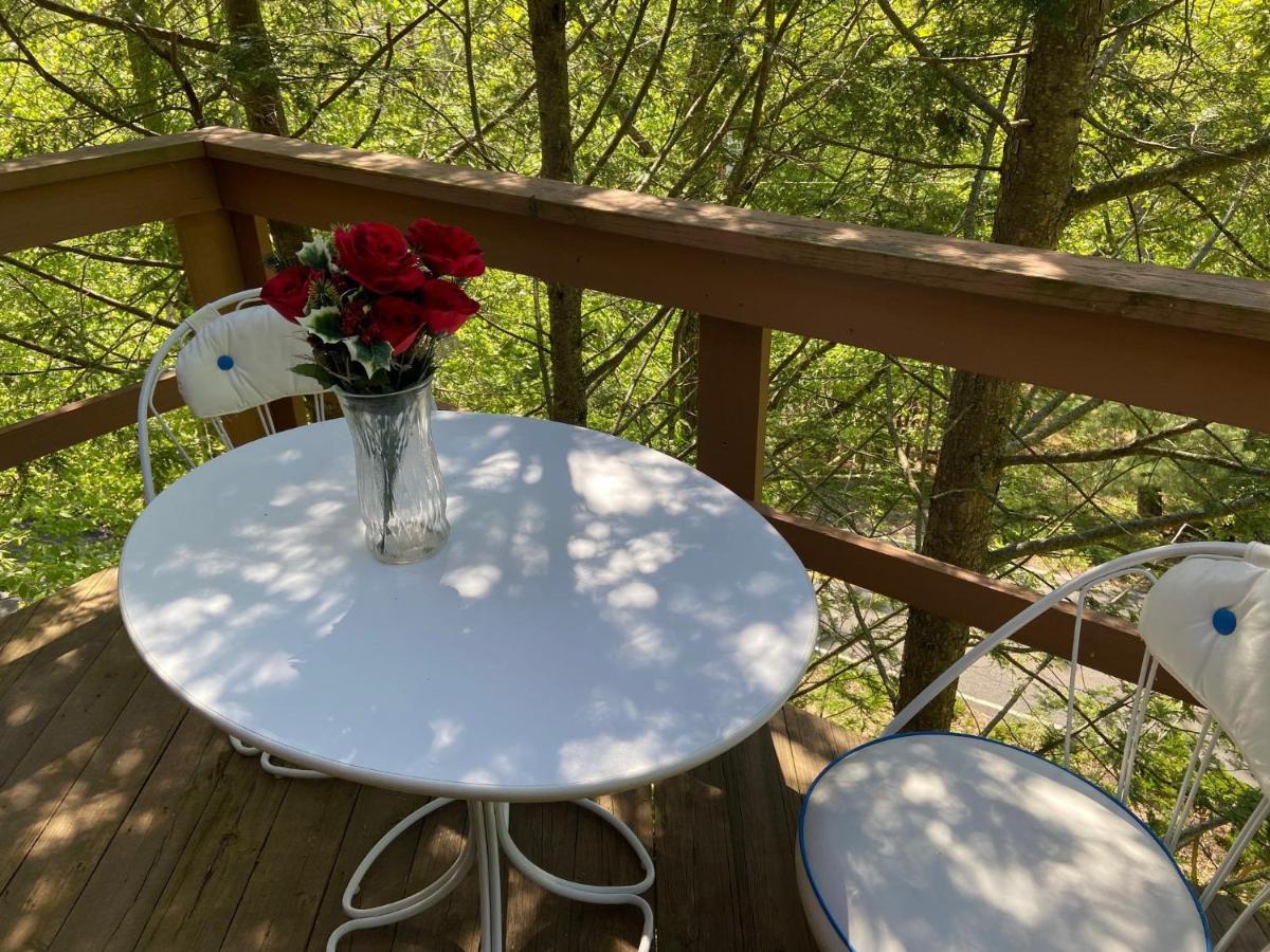 Saw Creek Cabin - Regent Hilltop Bushkill Exterior foto