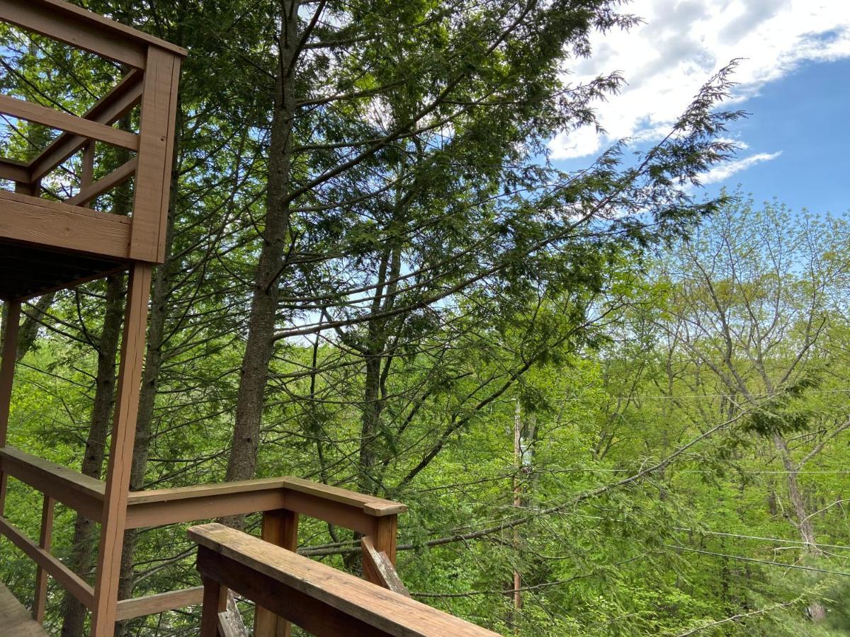 Saw Creek Cabin - Regent Hilltop Bushkill Exterior foto