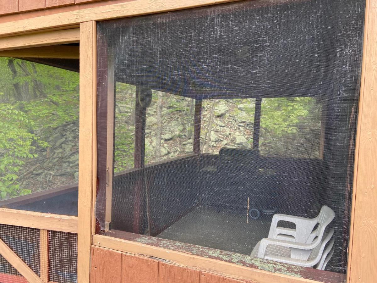 Saw Creek Cabin - Regent Hilltop Bushkill Exterior foto