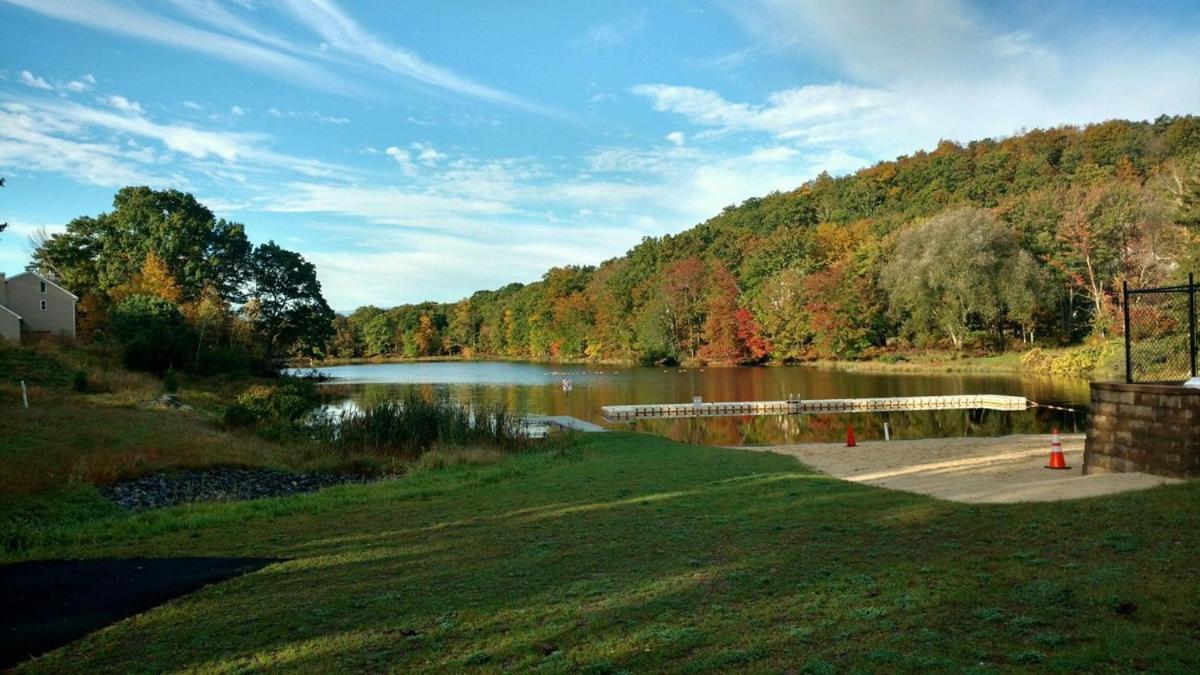 Saw Creek Cabin - Regent Hilltop Bushkill Exterior foto